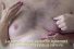 poster-27186-movimiento-ayuda-cancer-de-mama-macma-tetas-x-tetas-68x45