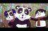 poster-27230-wildlife-conservation-film-festival-wcff-endangered-love-endangered-love-68x45