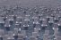 poster-27293-support-to-life-the-sea-cemetery-in-memory-of-syrian-refugees-68x45