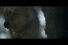 poster-27366-coyote-rejoignezlameute-68x45