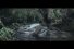 poster-27477-le-trefle-wild-trip-68x45