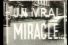 poster-27617-omo-un-vrai-miracle-68x45