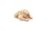poster-27710-logo-tv-twerk-your-turkey-68x45