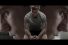 poster-27719-puma-fragrances-body-spray-scents-of-victory-68x45