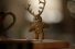 poster-27721-lowe-s-ginger-deer-68x45