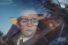 poster-27819-pearle-vision-ben-s-glasses-68x45