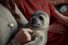 poster-27950-mcvitie-s-chocolate-digestives-nibbles-seal-68x45