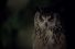 poster-28009-land-rover-velar-night-sounds-68x45