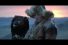 poster-28152-crosscall-trekker-x3-nature-s-eyes-68x45