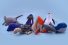 poster-28166-sea-sheperd-pollutoys-68x45