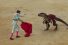 poster-28237-federation-des-luttes-pour-labolition-des-corridas-flac-renvoyons-la-corrida-a-lere-des-dinosaures-68x45