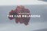 poster-28341-cancer-association-of-south-africa-cancer-de-la-peau-car-melanoma-68x45