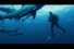 poster-28345-continente-alimentation-fear-68x45
