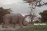 poster-28374-ol-pejeta-conservancy-worlds-most-eligible-bachelor-68x45