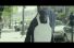 poster-28380-viltar-penguin-68x45