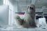 poster-28446-wurkz-boisson-energetique-sloth-68x45