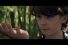 poster-28737-wind-bee-68x45