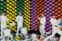 poster-28984-ok-go-obsession-68x45