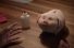 poster-29077-santander-piggy-68x45