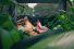 poster-29111-traveloka-wander-with-wonder-68x45