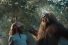 poster-29155-jack-link-s-runnin-with-sasquatch-68x45