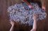poster-29259-mainland-fromage-the-mainland-2000-piece-voucher-68x45