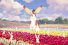poster-29316-travel-oregon-only-slightly-exaggerated-68x45