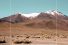 poster-29398-wwf-toolatergram-68x45