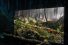poster-29411-sony-bravia-oled-window-into-daytime-68x45