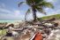 poster-29628-palau-legacy-project-palau-pledge-68x45