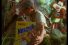 poster-29806-nesquik-cereales-alligator-68x45