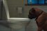 poster-29882-kohler-jealous-dog-68x45