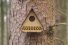 poster-29940-agent-green-protection-environnement-screaming-trees-68x45