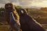 63438_001_preview-68x45