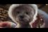63459_001_preview-68x45