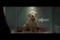 poster-30138-pedigree-season-of-good-dog-68x45
