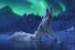 poster-30202-dancing-on-ice-polar-bears-68x45