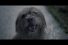 63686_preview-68x45