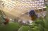 poster-30490-jewel-changi-airport-first-visitors-68x45