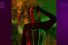 poster-30928-tinder-swipe-night-68x45