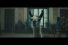 poster-30988-bosch-the-llama-drama-68x45