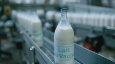 poster-31000-loto-la-bouteille-de-lait-236x132