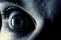 poster-31045-australian-museum-can-you-solve-the-mystery-68x45
