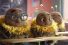 poster-31106-erste-bank-hanna-bumblebee-68x45