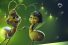 poster-31119-bradesco-bank-in-2020-shine-in-your-own-way-68x45