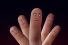 poster-31260-kfc-finger-lookin-good-68x45