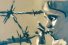 poster-31327-medecins-sans-frontieres-msf-give-me-hope-68x45