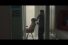 poster-31461-amaze-org-about-masturbation-68x45
