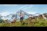 64608_preview-68x45