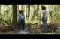 64625_preview-68x45